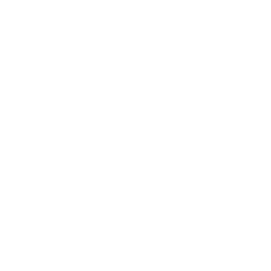 White Control icon that says Precise Speed Control. Above the text is a gauge that says silent and powerful on opposite sides.