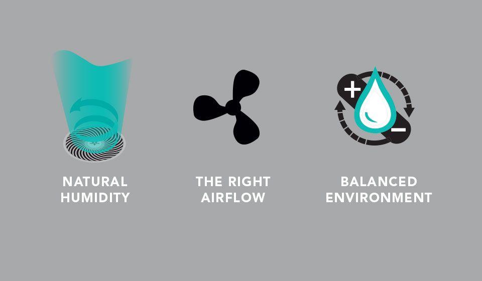 Trio of icons for ev100 evaporative humidifier. The icon on the left shows the fan with a teal vortex and curling arrow with the text: Precise Humidity. The middle icon is a a black fan blade with the text: The right airflow. The icon on the right is a white water droplet with a teal outline. Behind it it a plus and a minus sign with circulating arrows. Below the icon is the text: Balanced Environment