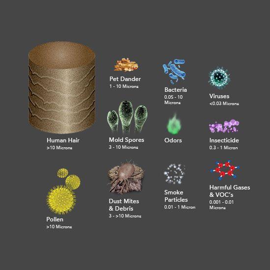 Image showing PCO200 Purifier 4 Stage Protection against Human Hair > 10 Microns, Pet Dander 1 - 10 Microns, Bacteria 0.05 - 10 Microns, Viruses < 0.03, Mold Spores 3 - 10 microns, Odors, Insecticide 0.3 - 1 microns, Pollen > 10 microns, Dust Mites & Debris 3 - > 10 Microns, Smoke particles 0.01 - 1 microns, and Harmful Gases & VOC's 0.001 - 0.01 microns.