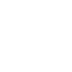 White PCODC Control icon that says Precise Speed Control. Above the text is a gauge that says silent and powerful on opposite sides.